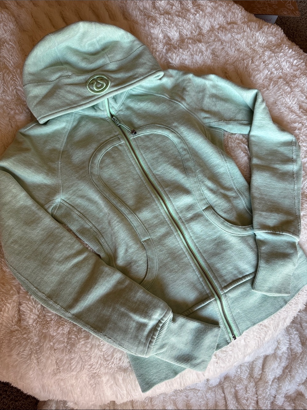 lululemon athletica Mint Green Scuba Hoodie